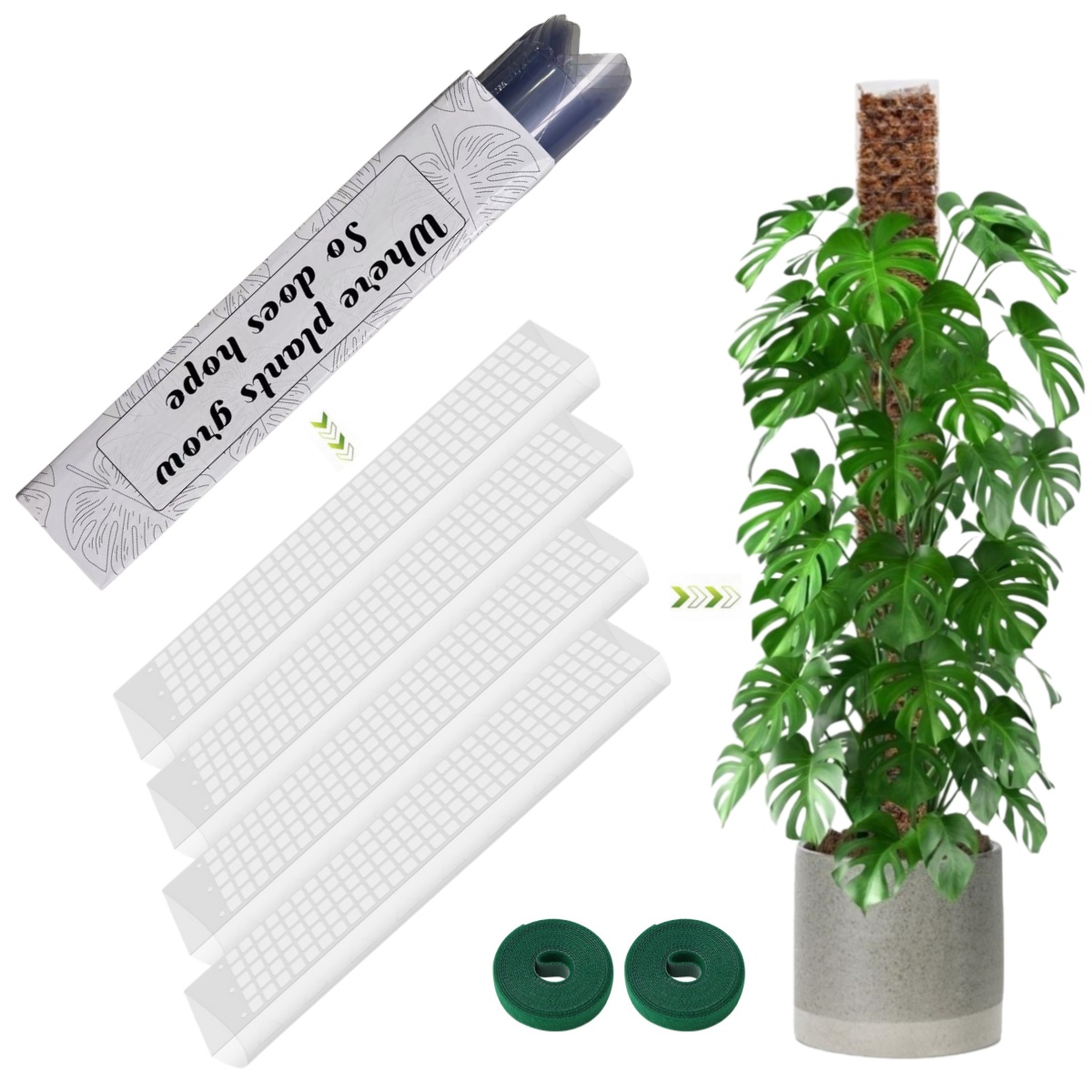 Sphagnum Moss Dry - Yosun Çubuğu Plastik Bitki Standı İç