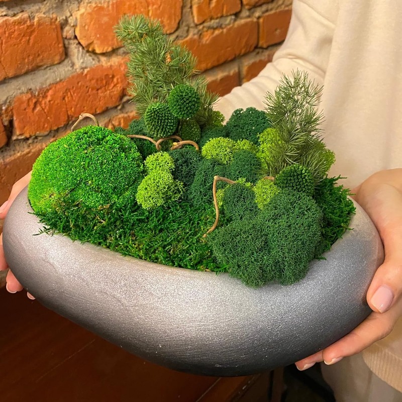 Yapay Yeşil Yosun Bitkileri DI - Sphagnum Moss Dry incelemesi ve fiyatı